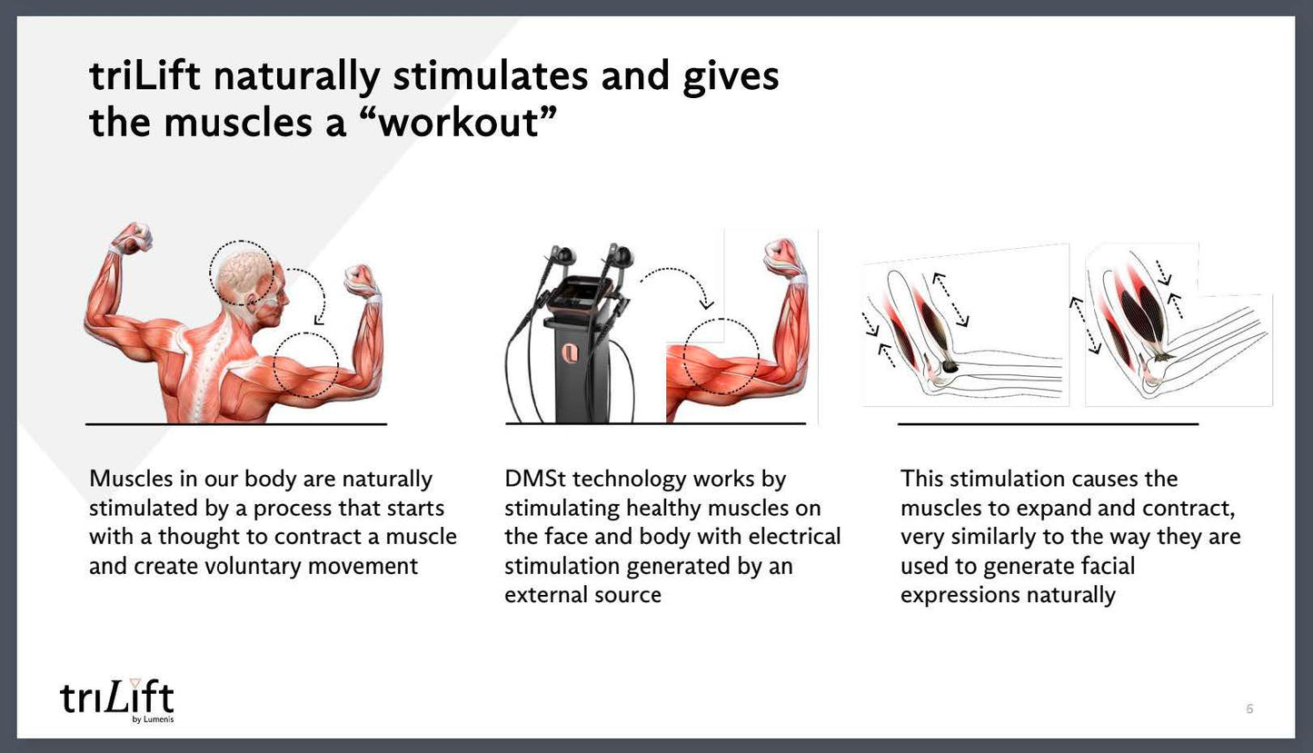 LIVE AUCTION - Holiday Radiance by Bliss