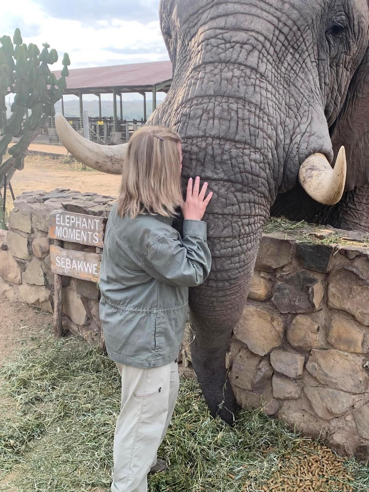 LIVE AUCTION - Giddy-Up To The Grasslands, A Safari
