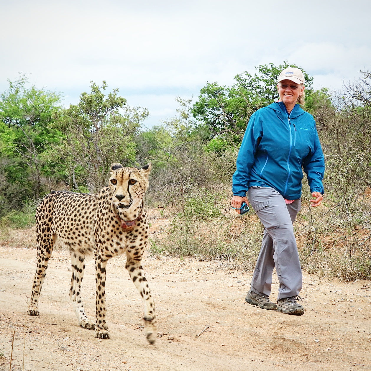 LIVE AUCTION - Giddy-Up To The Grasslands, A Safari