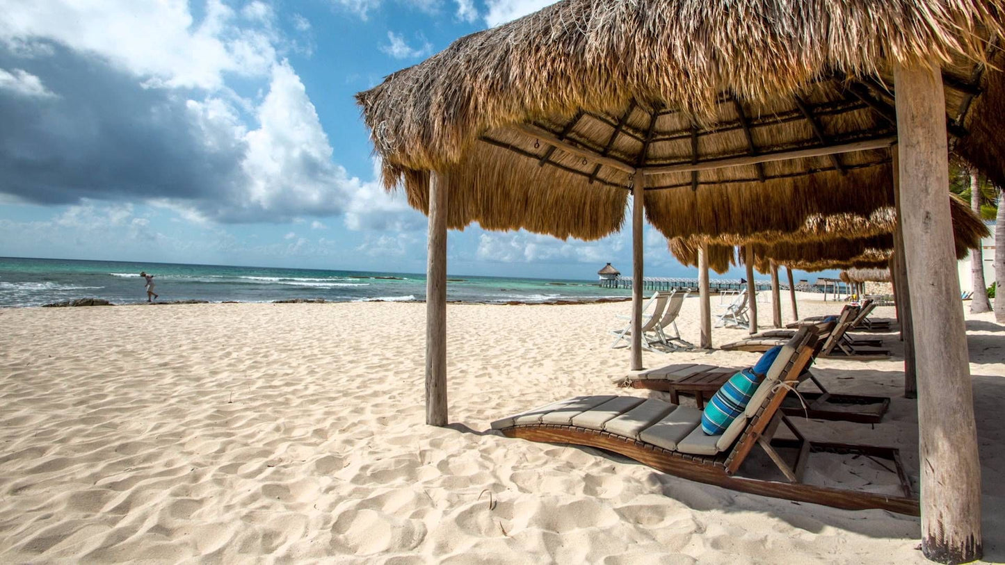 LIVE AUCTION - Boots Off, Toes In The Sand