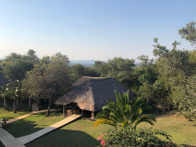 LIVE AUCTION - Giddy-Up To The Grasslands, A Safari