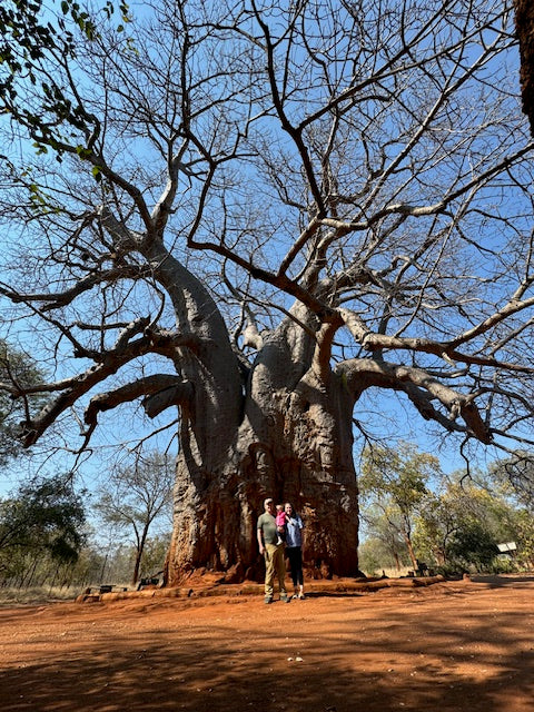 LIVE AUCTION - Giddy-Up To The Grasslands, A Safari